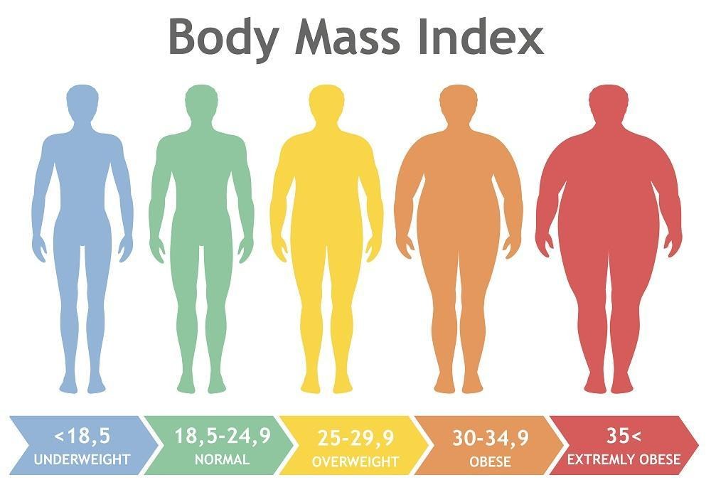 Panduan Lengkap Kalkulator BMI (Body Mass Index) untuk Pengguna Indonesia